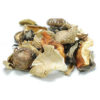 Forest Mix Mushrooms Dried - 454g